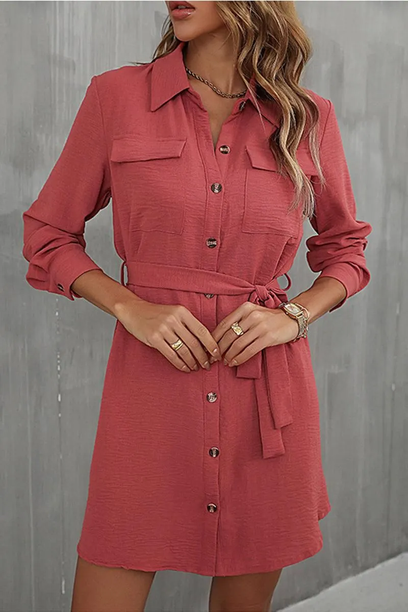 BUTTON DOWN DANDY SHIRTS DRESS